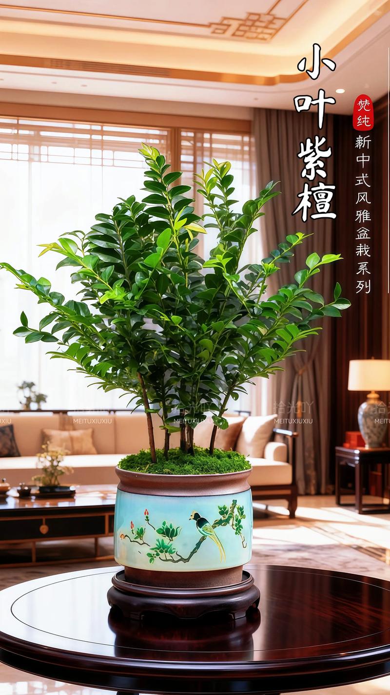 如何挑选完美的生日花束？